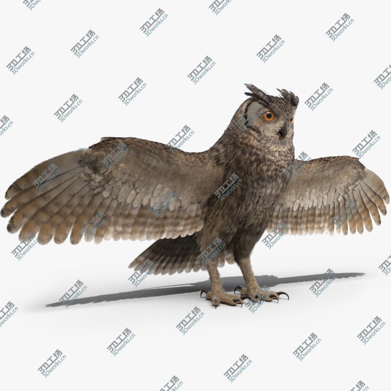 images/goods_img/2021040164/3D Owl/1.jpg